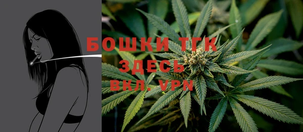 прущие грибы Аркадак