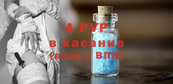 стаф Арсеньев