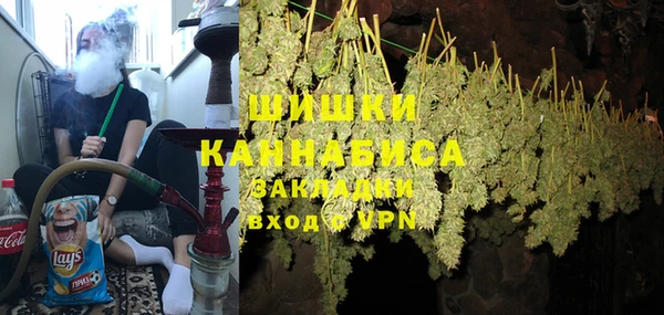 прущие грибы Аркадак