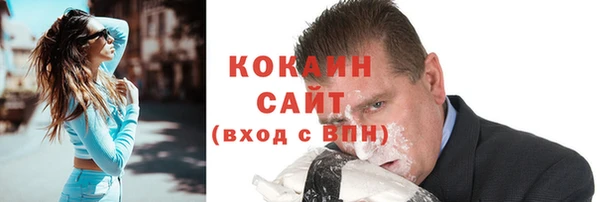 прущие грибы Аркадак