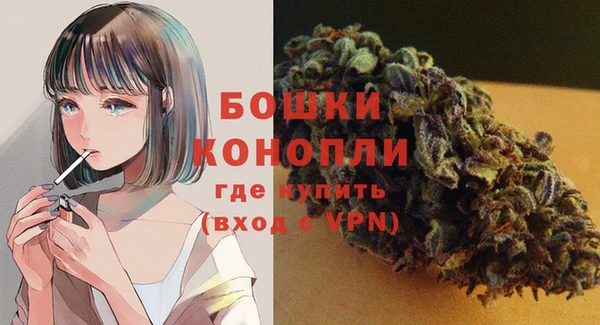 ГАЛЛЮЦИНОГЕННЫЕ ГРИБЫ Елабуга