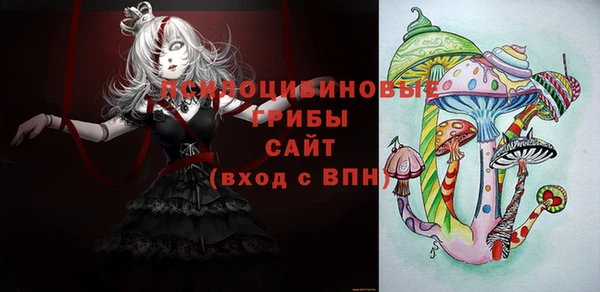 прущие грибы Аркадак
