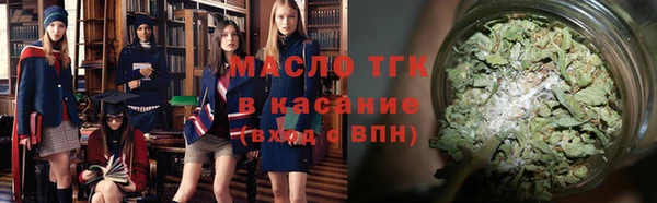 индика Ельня