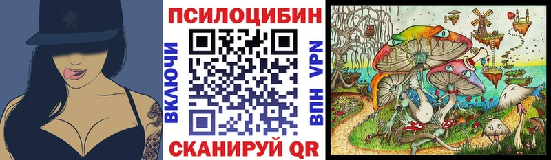 Псилоцибиновые грибы MAGIC MUSHROOMS  где купить наркотик  Петухово 