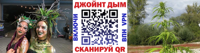 kraken зеркало  Петухово  Шишки марихуана гибрид 